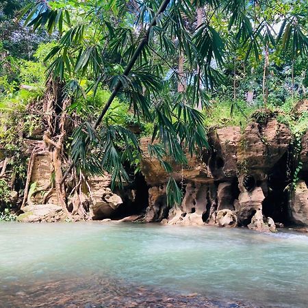 R5 Keramba Inn Bukit Lawang Luaran gambar
