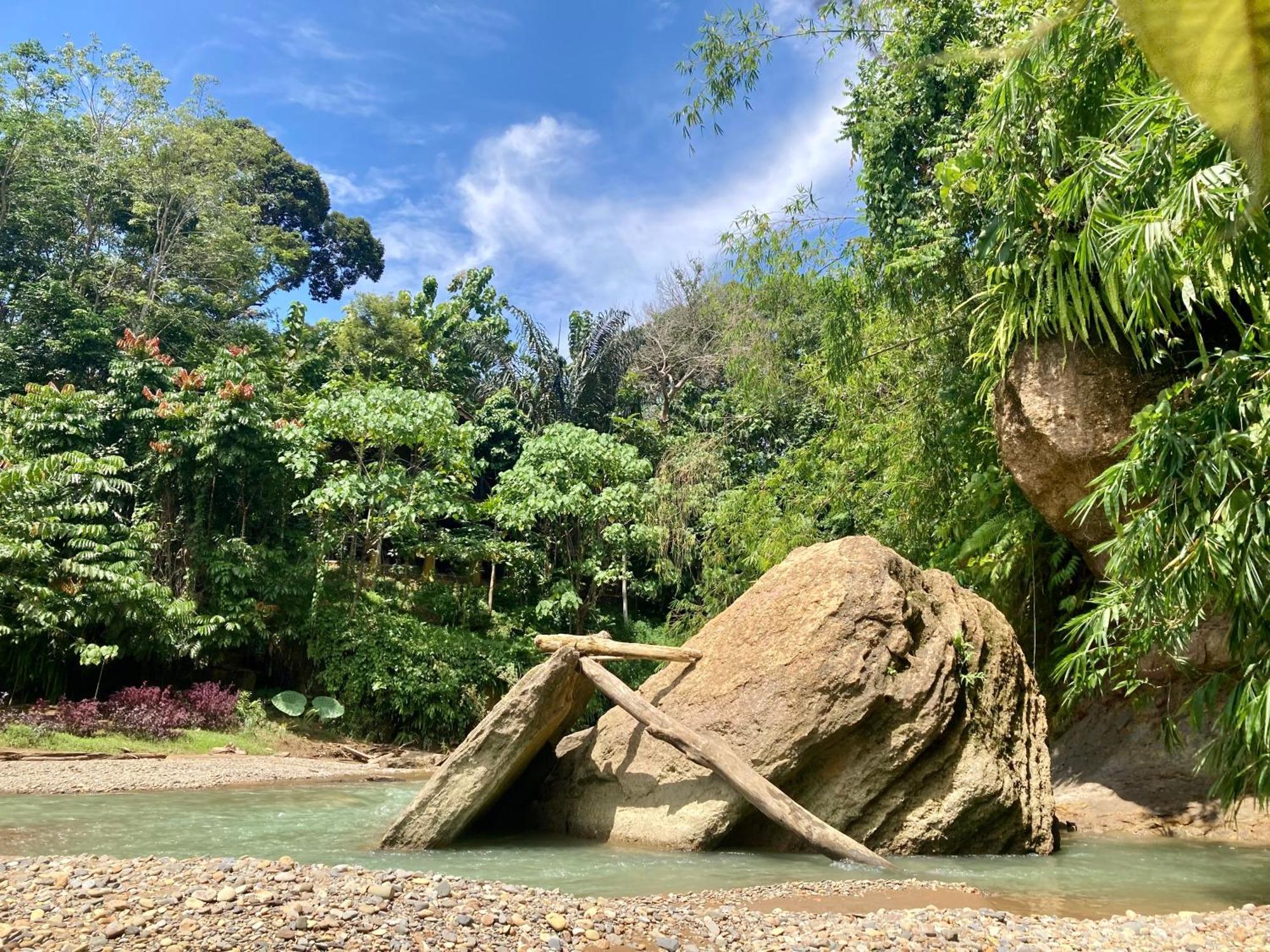 R5 Keramba Inn Bukit Lawang Luaran gambar